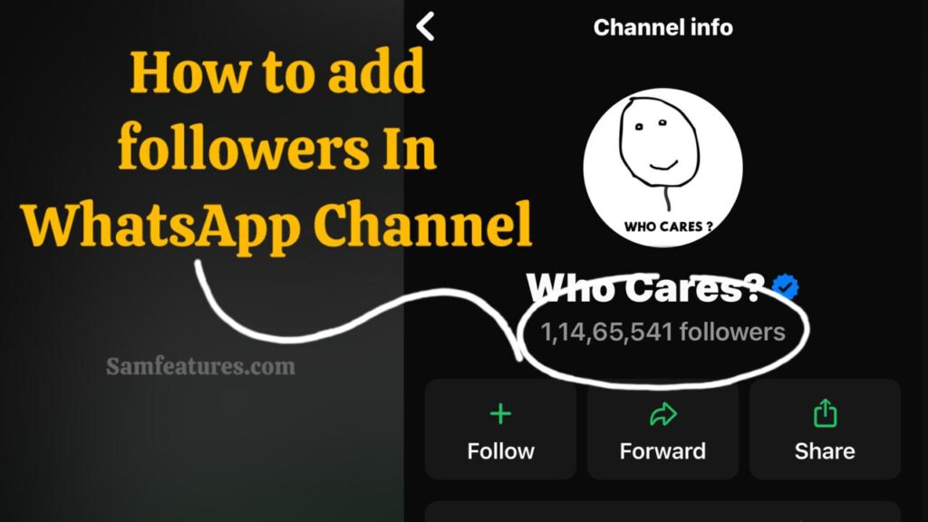 How To Add Member In Whatsapp Channels